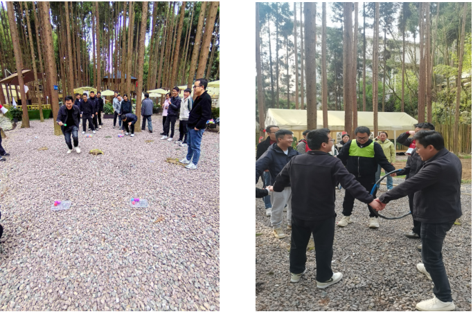 1774923718439.jpg 1774923718439.jpg